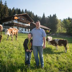 ehrlich.tirol Rind